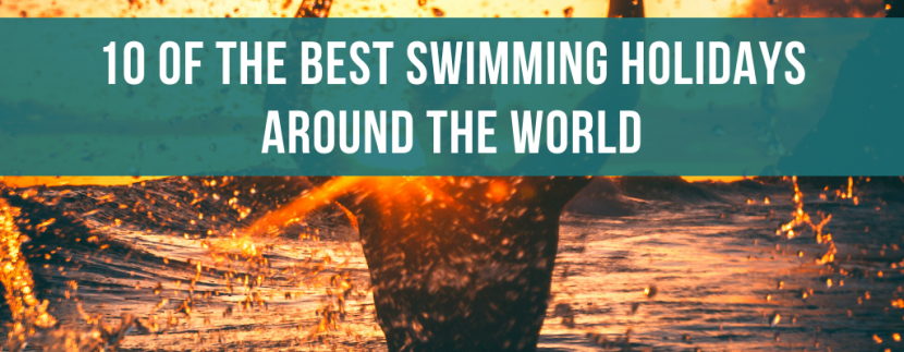 10 of the best swimming holidays around the world