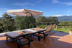IMG_4458 (Copy)