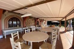 IMG_4464 (Copy)