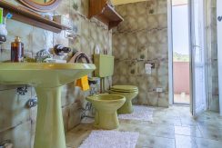 ortalakehome-armeno-lv10