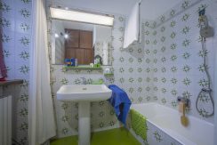 ortalloggi_orta2