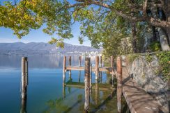 ortalloggi_orta_natta (11)