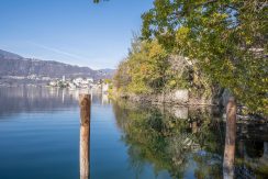 ortalloggi_orta_natta (12)