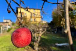 ortalloggi_armeno_casa (45)