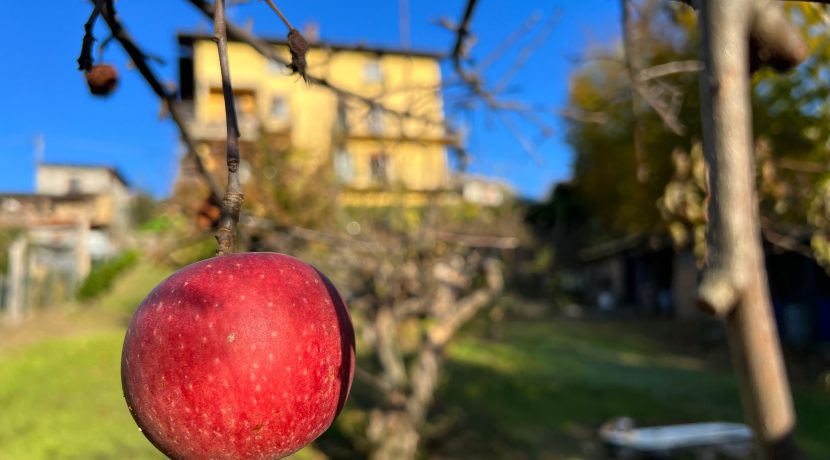ortalloggi_armeno_casa (45)