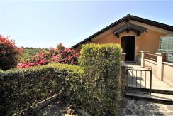 IMG_2906 (Copy)