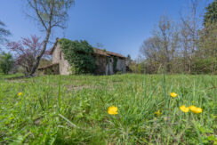 ortalloggi_rustico_lago_orta4