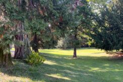 foto figlia parco