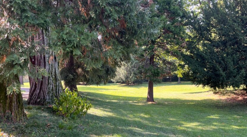 foto figlia parco