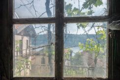 ortalloggi_orta_lago_pascolo50