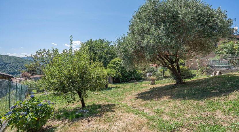 ortalloggi_armeno_casa_giardino7