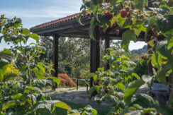 ortalloggi_casa_armeno_mottarone20