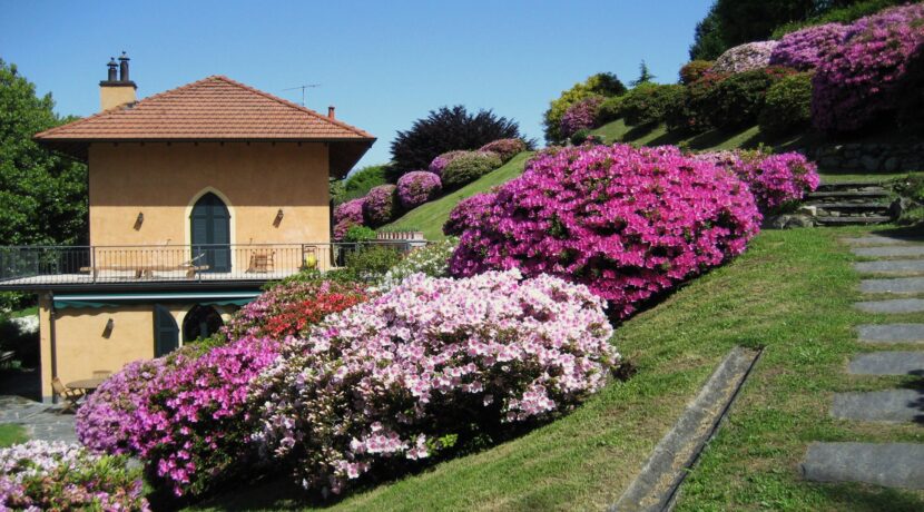 55-2009 maggio 7 orta prima parte 056_2800x1800