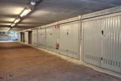 WhatsApp Image 2026-02-17 at 15.38.29 (2)