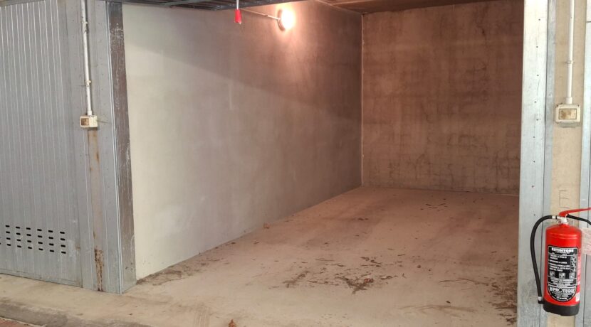 WhatsApp Image 2026-02-17 at 15.38.29 (3)