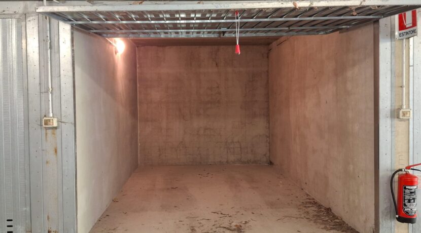 WhatsApp Image 2026-02-17 at 15.38.30