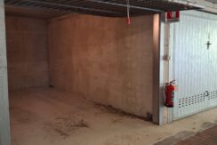 WhatsApp Image 2026-02-17 at 15.38.34 (1)