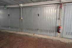 WhatsApp Image 2026-02-17 at 15.38.34 (3)