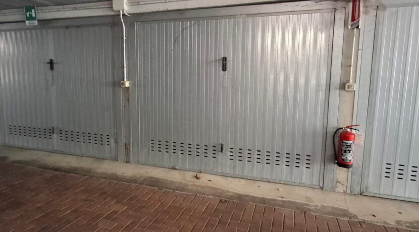 WhatsApp Image 2026-02-17 at 15.38.34 (3)