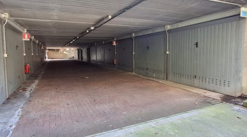 WhatsApp Image 2026-02-17 at 15.38.34 (4)