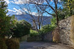 WhatsApp Image 2026-02-17 at 15.38.34 (6)