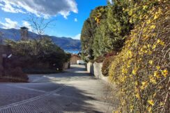 WhatsApp Image 2026-02-17 at 15.38.34 (7)