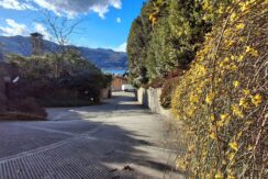 WhatsApp Image 2026-02-17 at 15.38.34 (8)