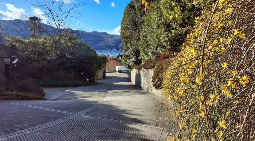 WhatsApp Image 2026-02-17 at 15.38.34 (8)