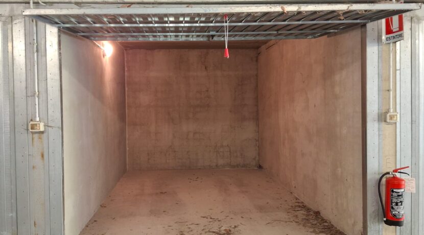 WhatsApp Image 2026-02-17 at 15.38.34