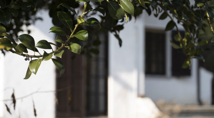 ortalloggi_armeno_casa_mottarone_giardino55