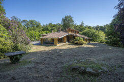 ortalloggi_miasino_villa_piscina_lago36
