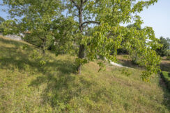 ortalloggi_terreno_edificabile11